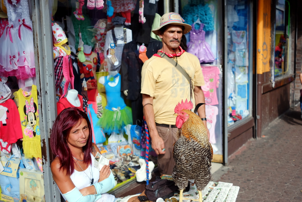 San José, enero de 2016
