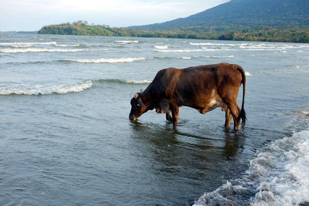 La isla de Ometepe, Nicaragua, enero de 2016