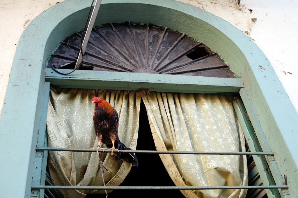El casco viejo de Panamá, enero de 2016